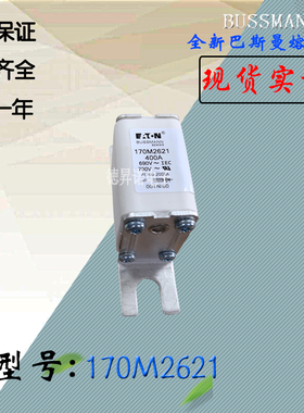 170M3058全新热卖供应巴斯曼熔断器170M2620电子保险丝170M2621