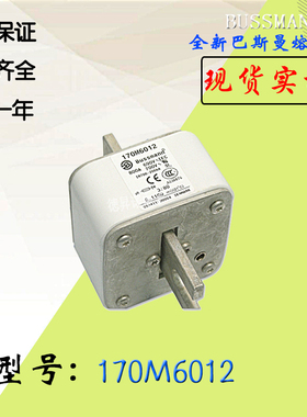 170M6008全新热卖供应巴斯曼熔断器170M6009库存现货直销170M6010