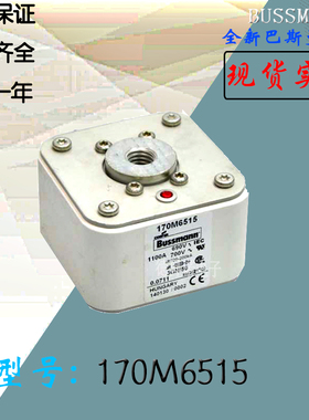170M6514全新热卖供应巴斯曼熔断器170M6515库存现货直销170M6516