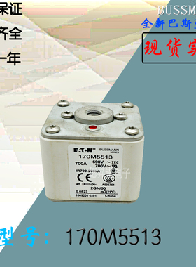 170M4569全新热卖供应巴斯曼熔断器170M5558电子保险丝170M5559