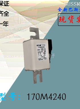 170M4240全新热卖供应巴斯曼熔断器170M4241库存现货直销170M4242