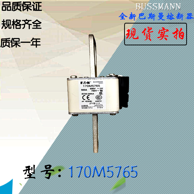 170M5765全新热卖供应巴斯曼熔断器170M5766电子保险丝170M5767