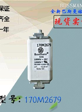 170M2676全新热卖供应巴斯曼熔断器170M2677电子保险丝170M2678