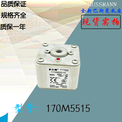 170M5537全新热卖供应巴斯曼熔断器170M5538库存现货直销170M5539