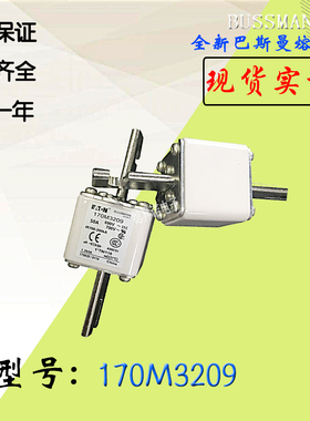 170M3208全新热卖供应巴斯曼熔断器170M3209库存现货直销170M3210