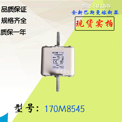 BUSSMANN170M8544保险丝熔断器