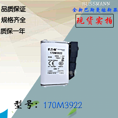 全新热卖170M3927供应巴斯曼熔断器170M3928电子现货直销170M3929