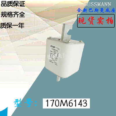 170M3921全新热卖原装巴斯曼熔断器170M3922电子保险丝170M3923