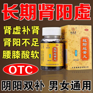 长期肾阳虚桂附地黄丸腰疼肾虚腰酸背痛中药调理肾亏男女补肾药ZM