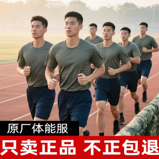 夏季体能服短袖速干透气吸汗体能训练服套装男学生军训t恤短裤女