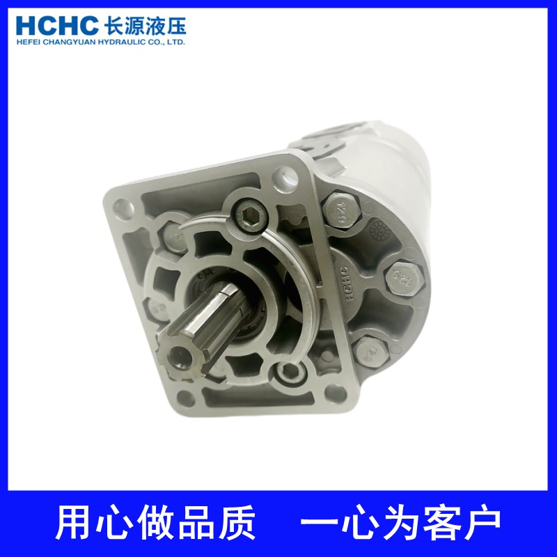 合肥长源液压双联齿j轮油泵中联环卫车油泵CBNL-F563/F520-BFHL