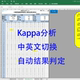 测量系统分析MSA计数型kappa风险分析报告可做真报告自动生成结论