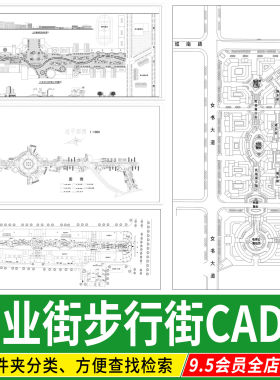 商业街步行街现代新中式老街景观改造平面方案设计CAD总平面图
