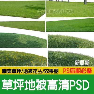 PS高清草坪草地草丛花境绿化地被贴图PSD免抠公园景观效果图素材