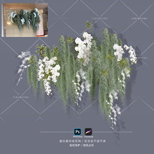 H004老人须龙须草花艺效果图白绿色森系野生感小众婚礼素材psd