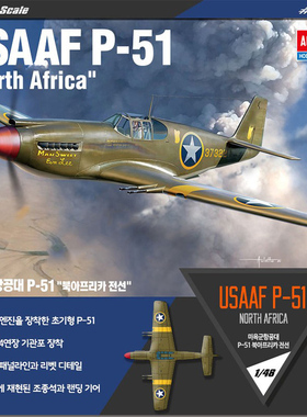 天易模型 爱德美 12338 美国空军P-51战斗机 北非战场 1/48