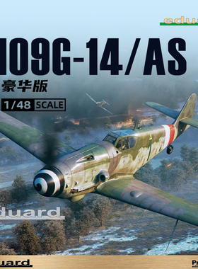 天易模型 牛魔王拼装飞机 82162 109G-14/AS 豪华版 1/48