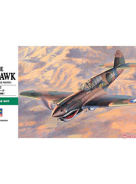 天易模型 长谷川 拼装模型 1/48 P-40E 战斗机 09086