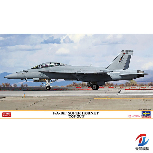 天易模型 长谷川模型 1/72 F/A-18F 战斗机 