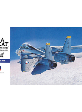 天易模型 长谷川拼装飞机 00544 美国现代F14A熊猫战斗机 1/72