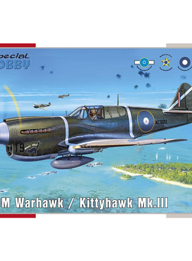 天易模型 Special Hobby 72382 P-40M Warhawk 战斗机 1/72