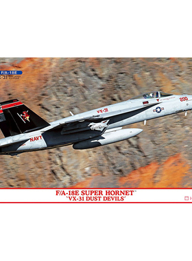 天易模型 长谷川拼装飞机 02424 F/A-18E 超级大黄蜂 战斗机VX-31