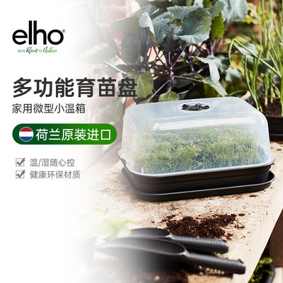 elho豆苗种植盘发芽盆纸上种菜营养钵育苗盆塑料菜苗培育托盘家用