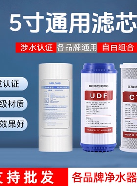 UDF颗粒活性碳滤芯5寸通用演示机