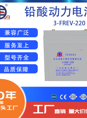 丰日直销3-FREV-220 6V 220Ah 免维护铅酸蓄电池 电动车电池