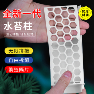 速发萝苔植柱物攀爬根茎补水随意增高热值绿水爬藤固定依附支架