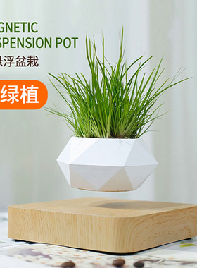 速发盆浮摆件 创意 磁悬盆浮栽空中绿植花悬植物办公室装饰品乔迁