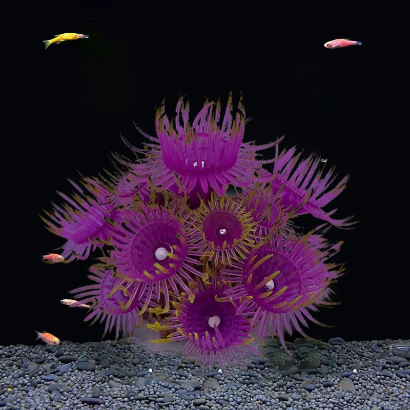 速发硅胶荧光珊瑚 水族造景透明彩海色葵 珊瑚海水布缸景水草