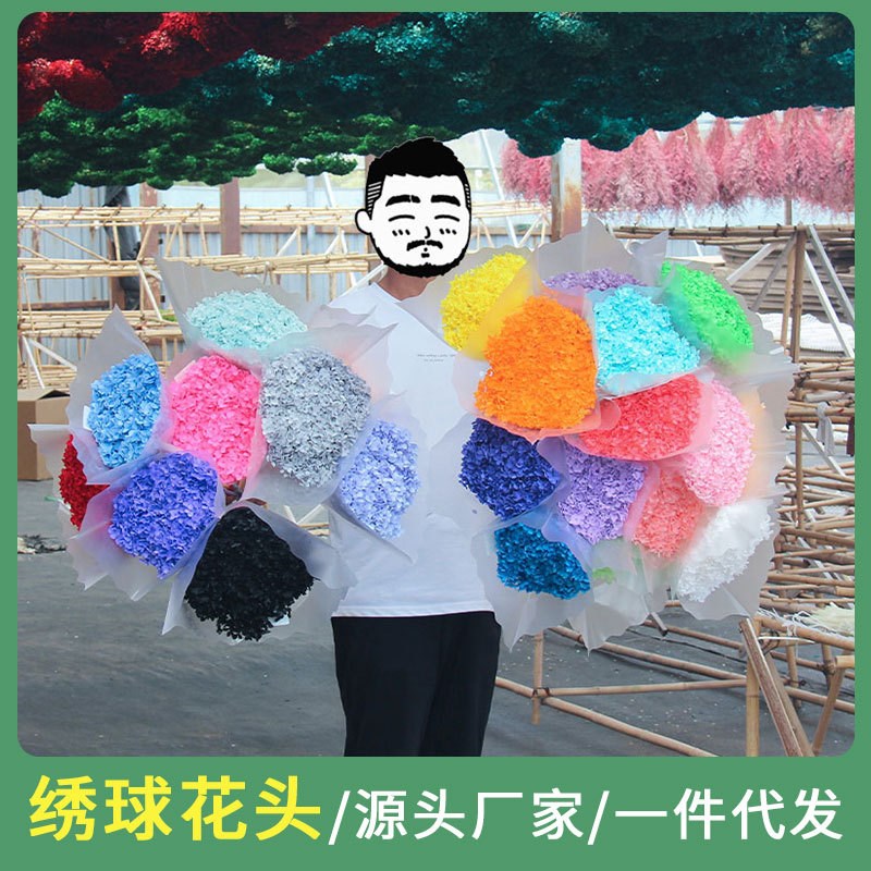 速发单饰安娜绣球绣头永生花绣球干花小叶花球插花装支风