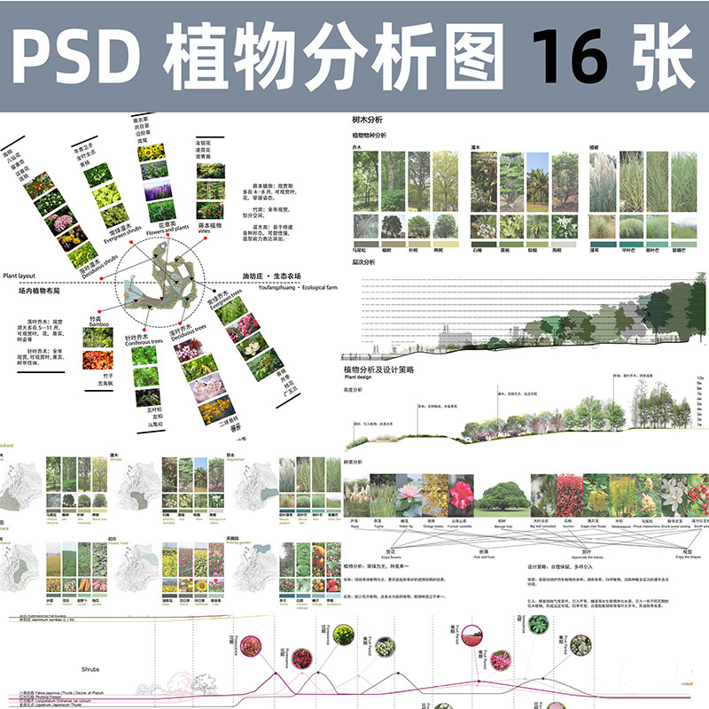 景观植物分析图PS农场植物配置种类植被物种分析psd分层素材