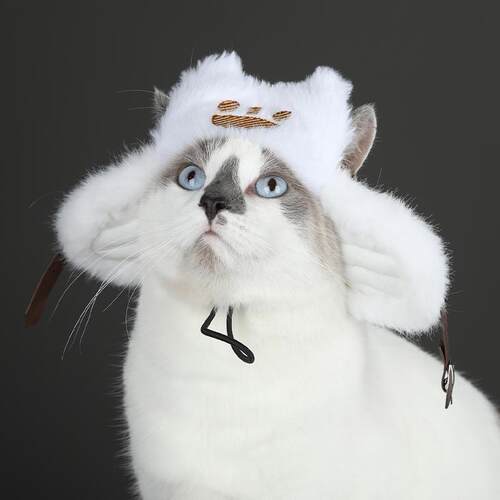 星雨辰怪物猎人荒野艾露猫毛绒帽