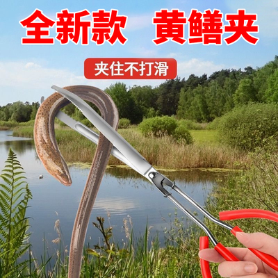 加厚不锈钢黄鳝夹锯齿防滑