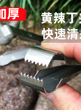 黄辣丁夹子加厚不锈钢工具