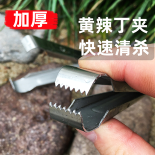 黄辣丁夹子 加厚不锈钢 杀黄辣丁工具黄姑子防扎手破鱼黄骨鱼商用