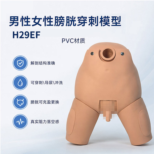 男性膀胱穿刺模型女性导尿冲洗注入液体训练操作模拟人