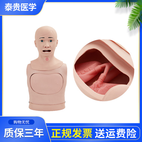 高级鼻胃管与气管护理模型厂家
