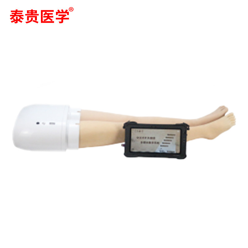 泰贵医学 交互式针灸腿部多媒体教学系统 TG-LEG300