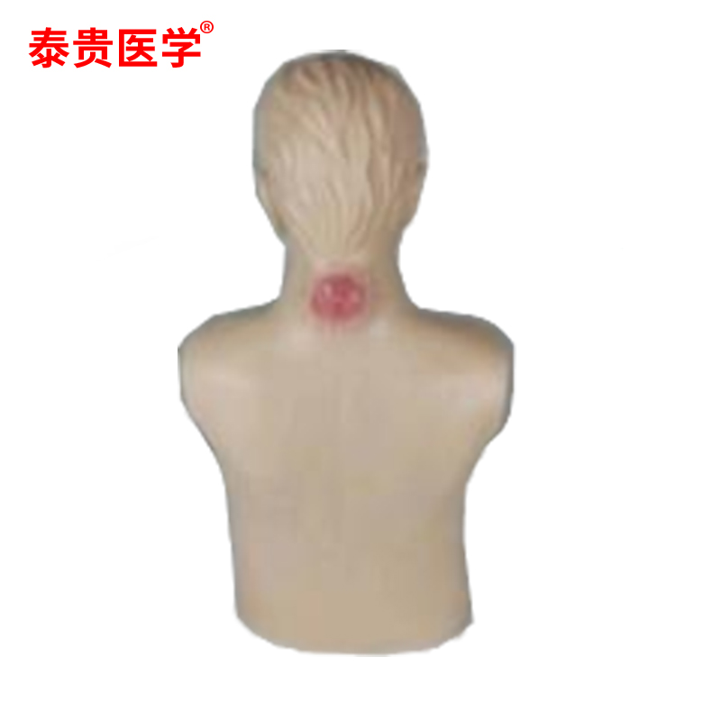 泰贵医学 高级有头疽诊断模型 TG-ZTQ804