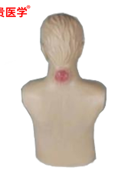 泰贵医学 高级有头疽诊断模型 TG-ZTQ804