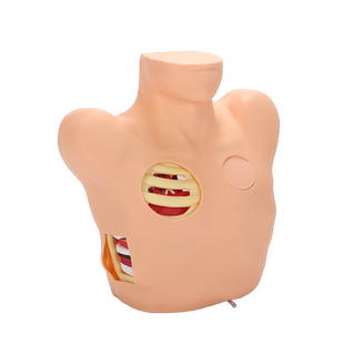 泰贵医学TG/L66胸腔穿刺引流模型液胸闭式插管气胸减压训练模拟人