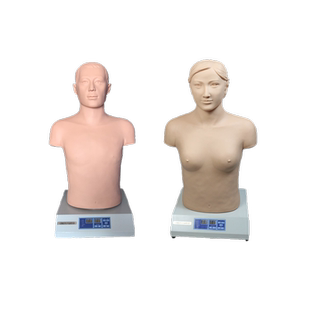 泰贵医学TG/IV心肺触诊听诊电脑模拟器男女体格检查训练医用假人
