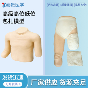 高级高位低位上下肢包扎模型腿部截肢病人三角巾包裹头颈胸部手臂训练骨折固定操作实习教学假人体模具