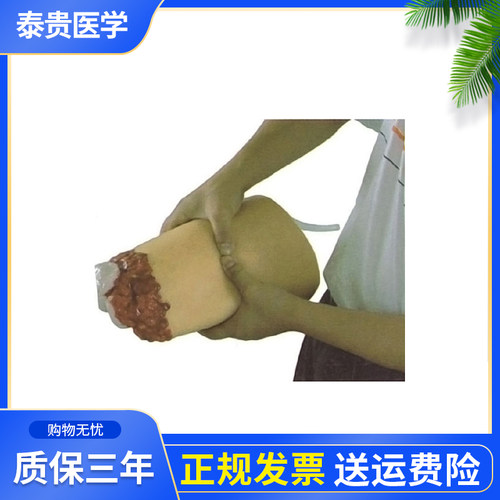 泰贵医学TG/J10B-2下肢外伤断肢止血模型股动脉压迫止血急救训练教学假人体大腿模具