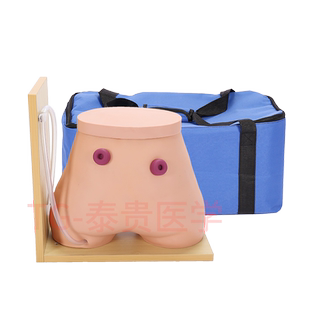 TG/H38高级瘘管造口术护理模型结肠回肠造瘘口管饲训练灌肠排便教学模拟