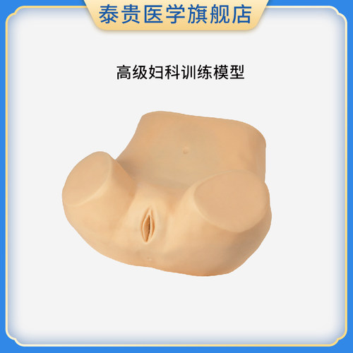 高级妇科检查训练模型