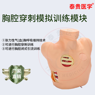 泰贵医学 胸腔穿刺模拟训练模块 呼吸维持技术胸腔闭式引流训练急救人体教学模型卫勤战救训练器械TG/XQ005